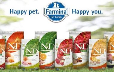 Поступление кормов для собак FARMINA