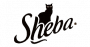 Sheba